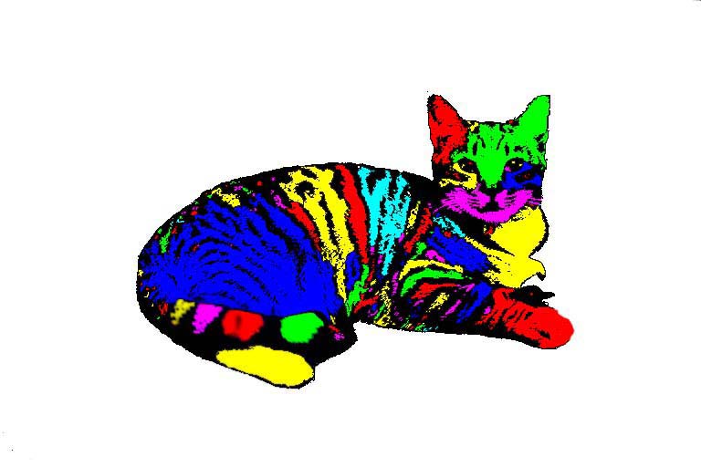 abstract.rainbow_cat.jpg
