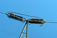 CRW_0376_insulator