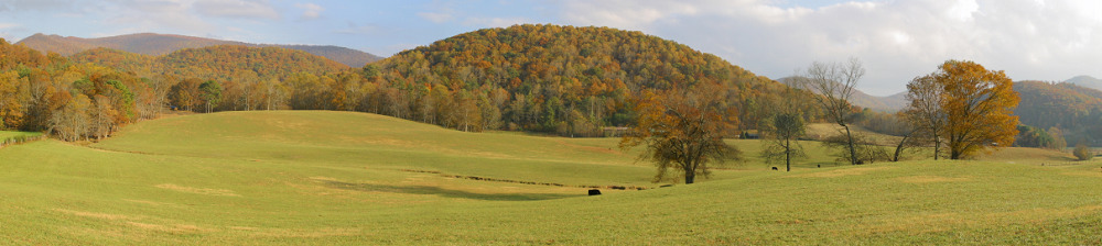 farm near brasstown