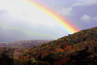 CRW_8861_mtn_rainbow_I68.jpg