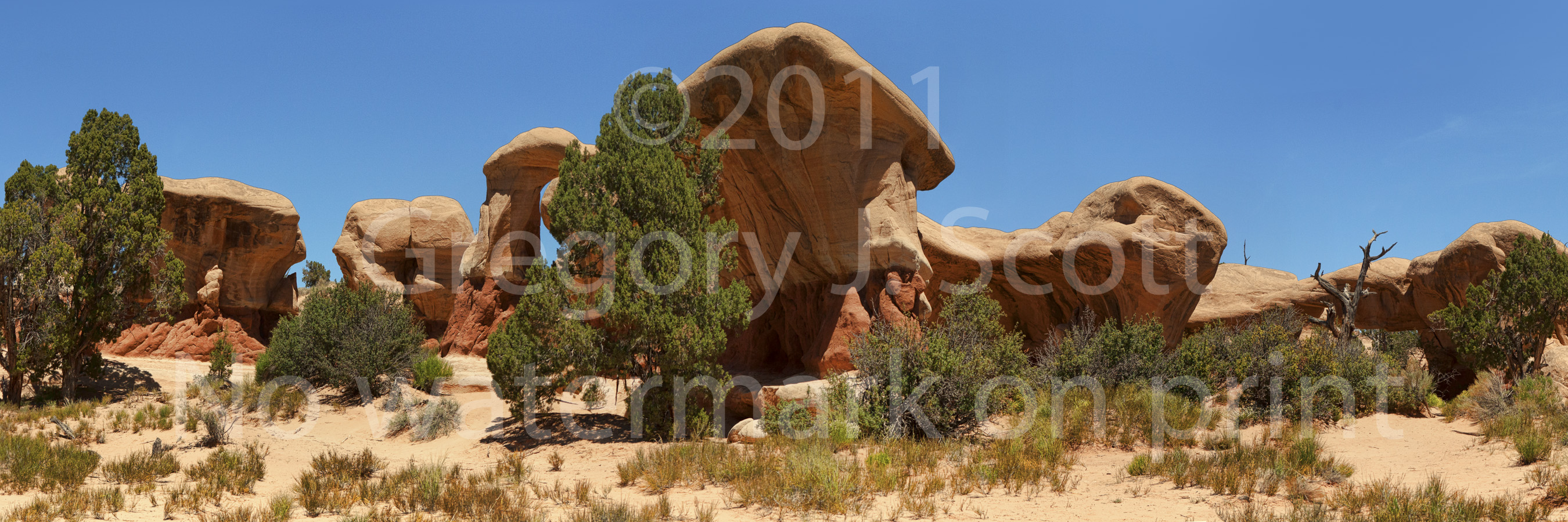 Mysterious Hoodoo Gathering, Photographed May 31, 2011