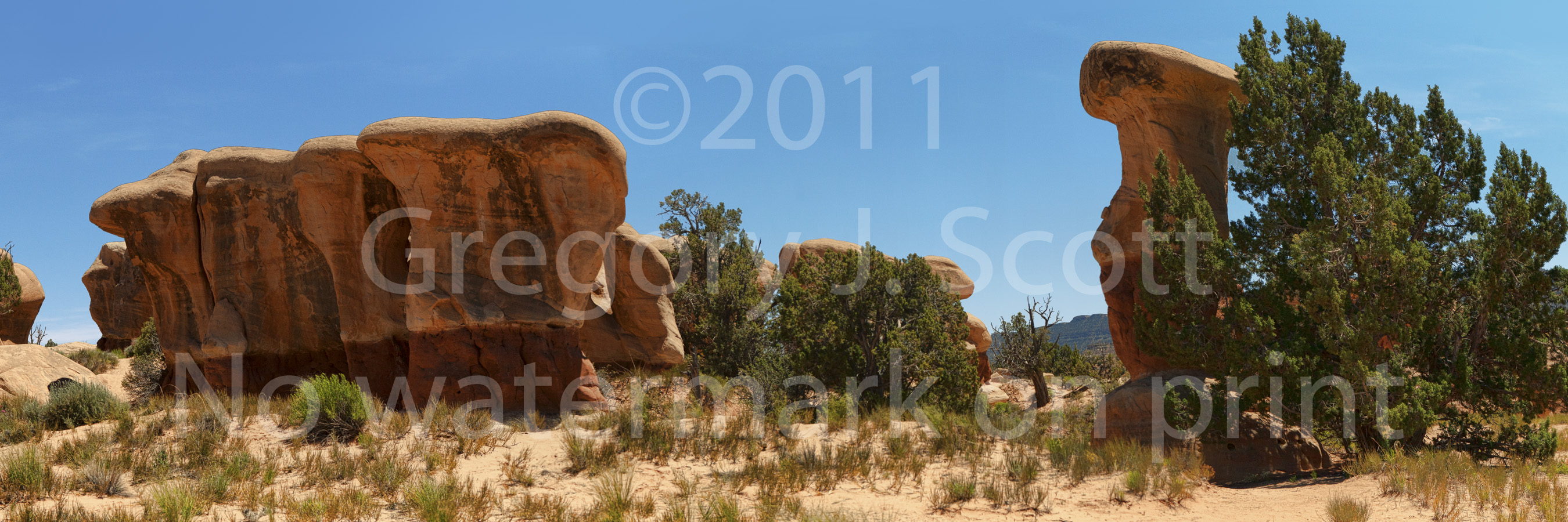 Mysterious Hoodoo Gathering, Photographed May 31, 2011