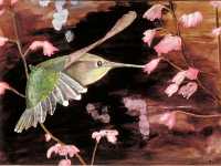 Painting of a broadbill hummingbird by R. W. Scott